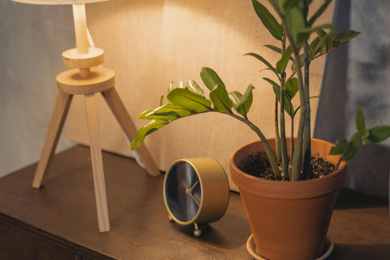 Simple Ways to Create a Cozy and Inviting Home Environment